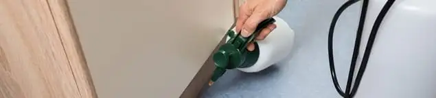 Bed bug exterminator treating baseboards and cracks with targeted spray in West Palm Beach, FL
