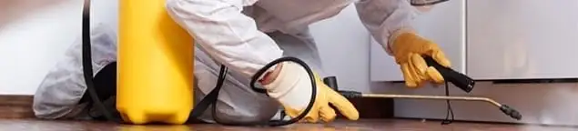 Roach exterminator treating cracks and crevices along kitchen baseboards in West Palm Beach, FL