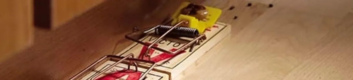 Rodent trap set indoors for rodent control and prevention in West Palm Beach, FL