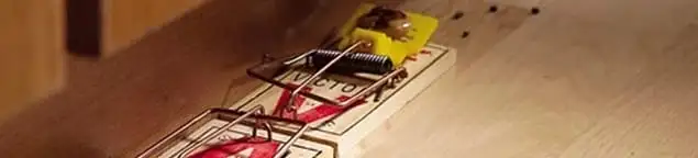 Rodent trap set indoors for rodent control and prevention in West Palm Beach, FL